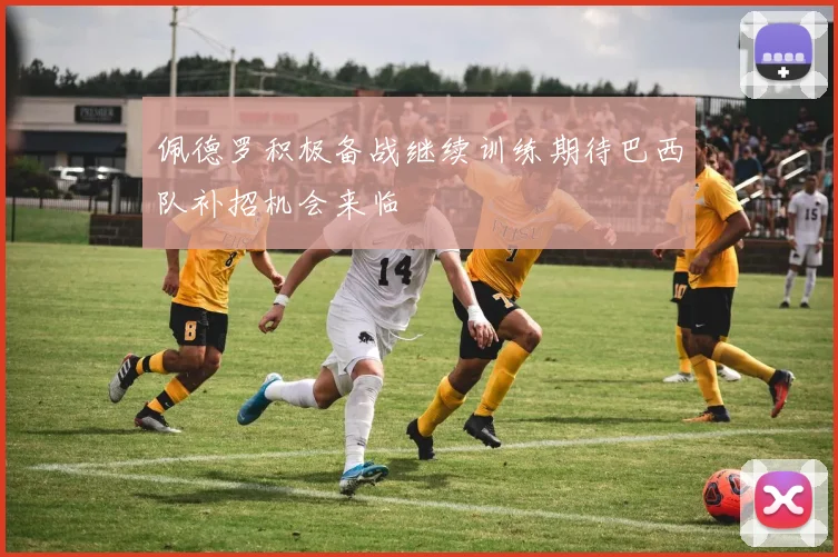 佩德罗积极备战继续训练期待巴西队补招机会来临