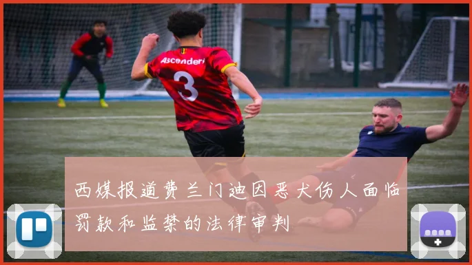 西媒报道费兰门迪因恶犬伤人面临罚款和监禁的法律审判